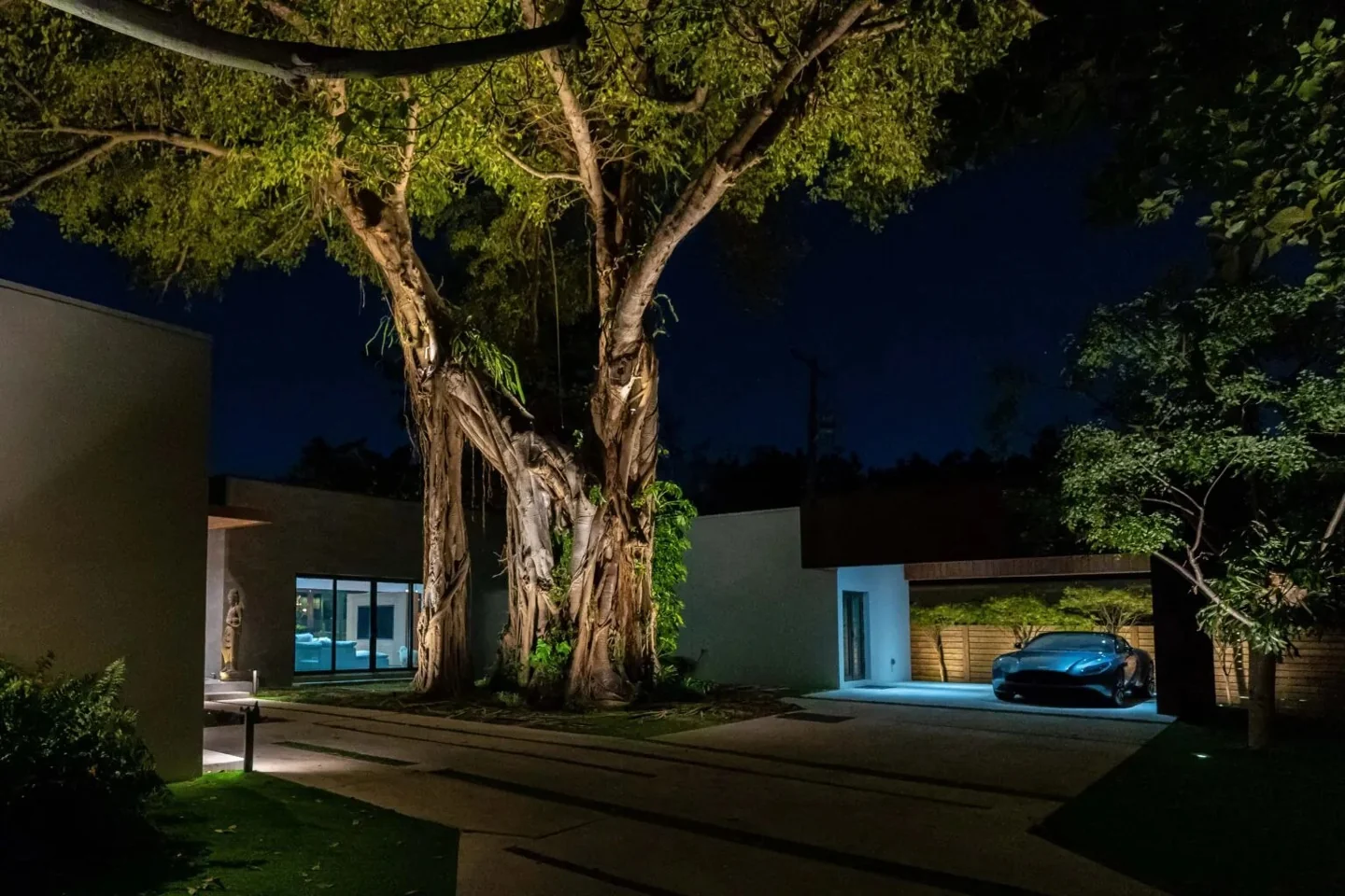Illuminated landscape and mature tree featured by Miami Outdoor Lighting