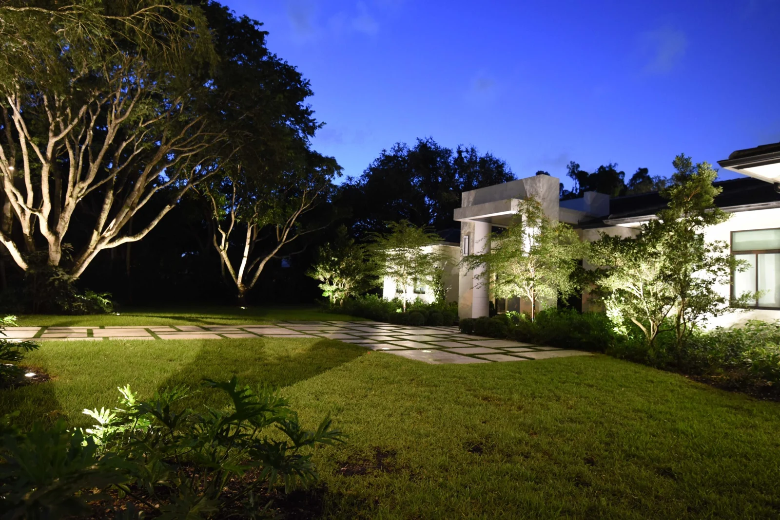 Illuminated trees and garden beside a Pinecrest residence